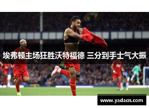 埃弗顿主场狂胜沃特福德 三分到手士气大振 埃弗顿主场狂胜沃特福德 三分到手士气大振